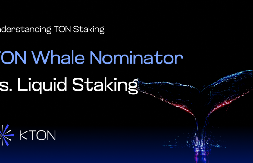 Understanding TON Staking: TON Whales Nominator vs. Liquid Staking